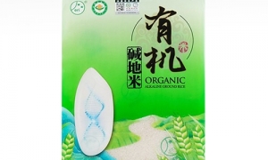 東北大米為啥這么好？